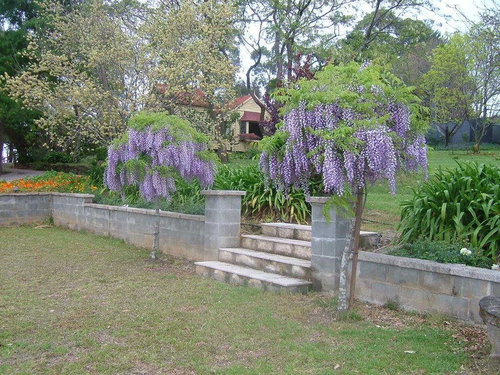 Hermitage Cottage Kurrajong Екстер'єр фото